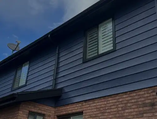 Izzy Painting LLC